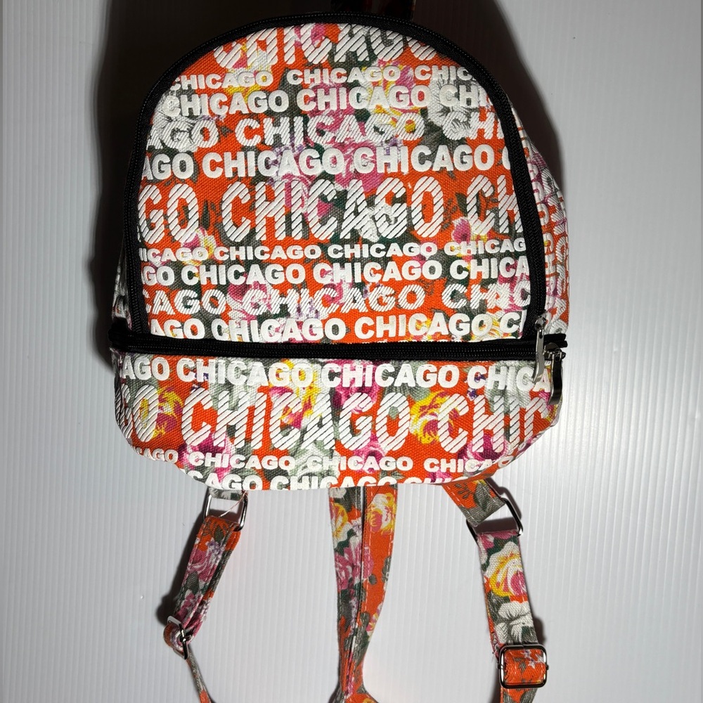 Colorful Chicago Print small Backpack